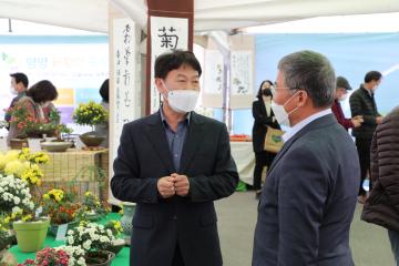 양양국화분재연구회 작품전시회