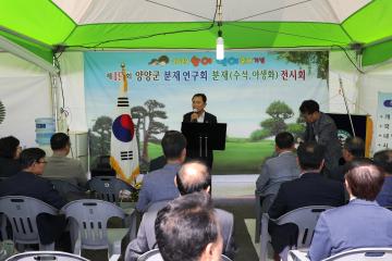 제19회 양양분재연구회 분재전시회