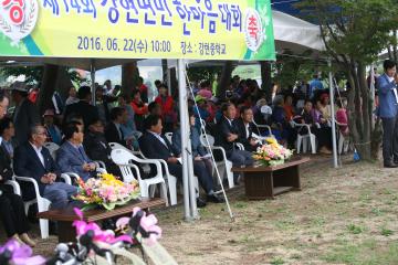 강면면민 한마음 축제