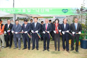 송이축제 양양낙산배 품평회