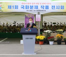 양양국화분재연구회 작품 전시회